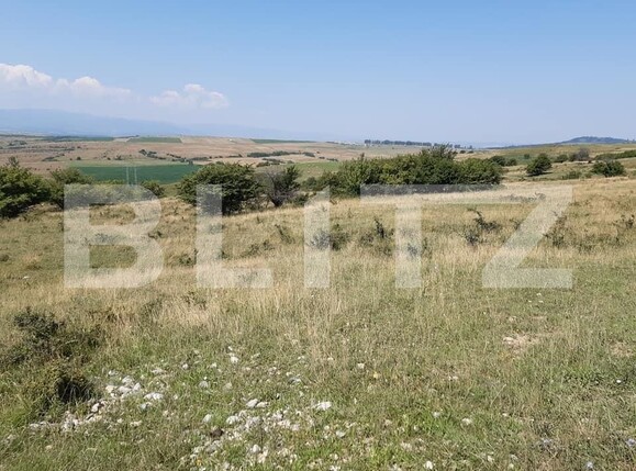 Teren de vânzare Exterior Est - 145761TV | BLITZ Sibiu | Poza2