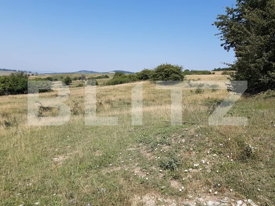 Teren de vânzare Exterior Est - 145761TV | BLITZ Sibiu | Poza3