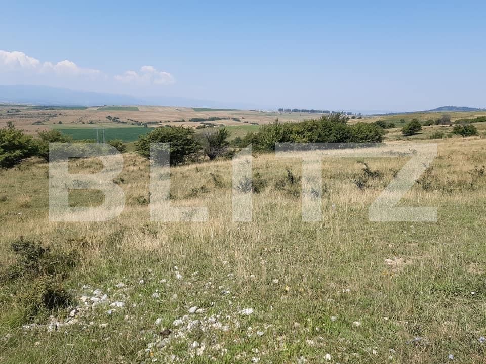 Teren de vânzare Exterior Est - 145761TV | BLITZ Sibiu | Poza2