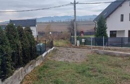 Casa 4 camere, 160 mp, teren, 460 mp, zona Exterior