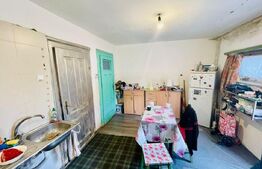 Casa alipita 3 camere, 70 mp suprafata utila si 288 mp teren, zona Ultracentrala 