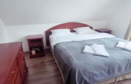 Penisiune independenta energetic, 9 camere, 350mp, zona Paltinis