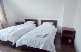 Penisiune independenta energetic, 9 camere, 350mp, zona Paltinis