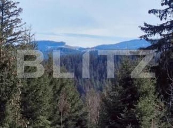 Casa de vânzare 9 camere Exterior Sud - 145772CV | BLITZ Sibiu | Poza9