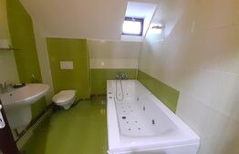 Curte cu 2 case de vânzare în Sibiu zona Calea Poplăcii