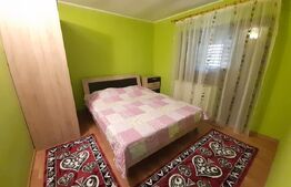 Curte cu 2 case de vânzare în Sibiu zona Calea Poplăcii