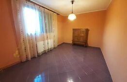 Curte cu 2 case de vânzare în Sibiu zona Calea Poplăcii