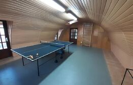 Curte cu 2 case de vânzare în Sibiu zona Calea Poplăcii