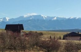 Vanzare casa individuala, 184 mp utili, 774 mp teren