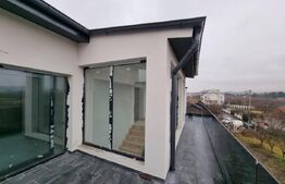 Casă singur în curte, 260 mp utili, în Turnișor