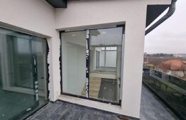 Casă singur în curte, 260 mp utili, în Turnișor