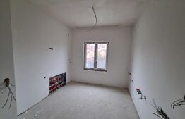 Casă singur în curte, 260 mp utili, în Turnișor