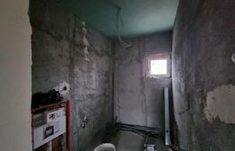 Casă singur în curte, 260 mp utili, în Turnișor