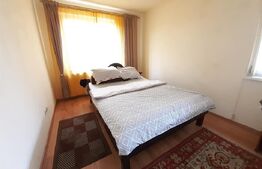 Casa cu 16 camere, 600 mp utili si 1000 mp teren in Selimbar zona Pictor Brana 