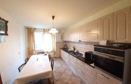 Casa cu 16 camere, 600 mp utili si 1000 mp teren in Selimbar zona Pictor Brana 