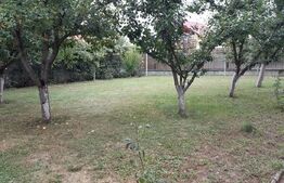 Casa cu 16 camere, 600 mp utili si 1000 mp teren in Selimbar zona Pictor Brana 