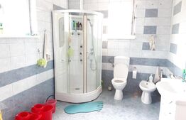 Casa cu 16 camere, 600 mp utili si 1000 mp teren in Selimbar zona Pictor Brana 