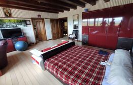 Vila de lux, 1067 mp suprafata desfasurata,2500mp curte libera