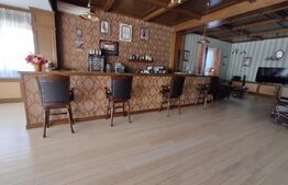 Vila de lux, 1067 mp suprafata desfasurata,2500mp curte libera