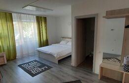 Casa 8 camere, 320 mp, parcare, zona Calea Poplacii