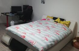 Casa 8 camere, 320 mp, parcare, zona Calea Poplacii