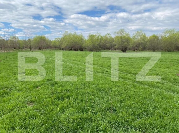 Teren de vânzare Exterior Est - 145911TV | BLITZ Sibiu | Poza3