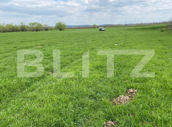 Teren de vânzare Exterior Est - 145911TV | BLITZ Sibiu | Poza5