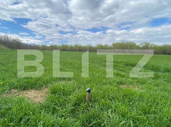 Teren de vânzare Exterior Est - 145911TV | BLITZ Sibiu | Poza4