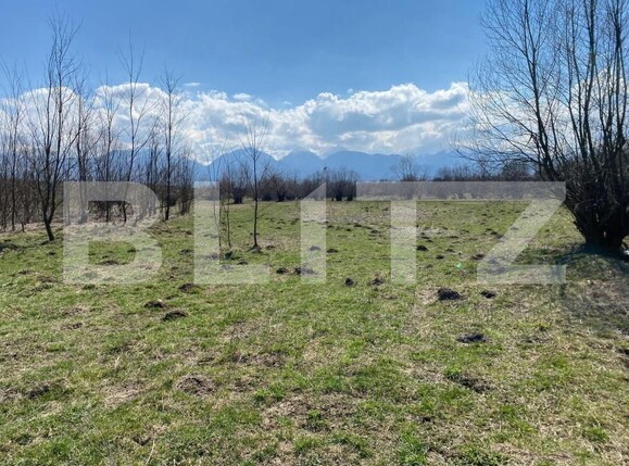 Teren de vânzare Exterior Est - 145911TV | BLITZ Sibiu | Poza13