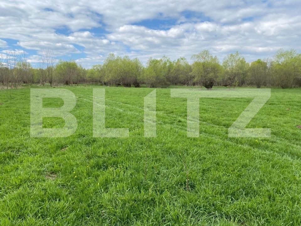 Teren de vânzare Exterior Est - 145911TV | BLITZ Sibiu | Poza3