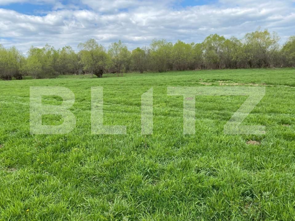 Teren de vânzare Exterior Est - 145911TV | BLITZ Sibiu | Poza7