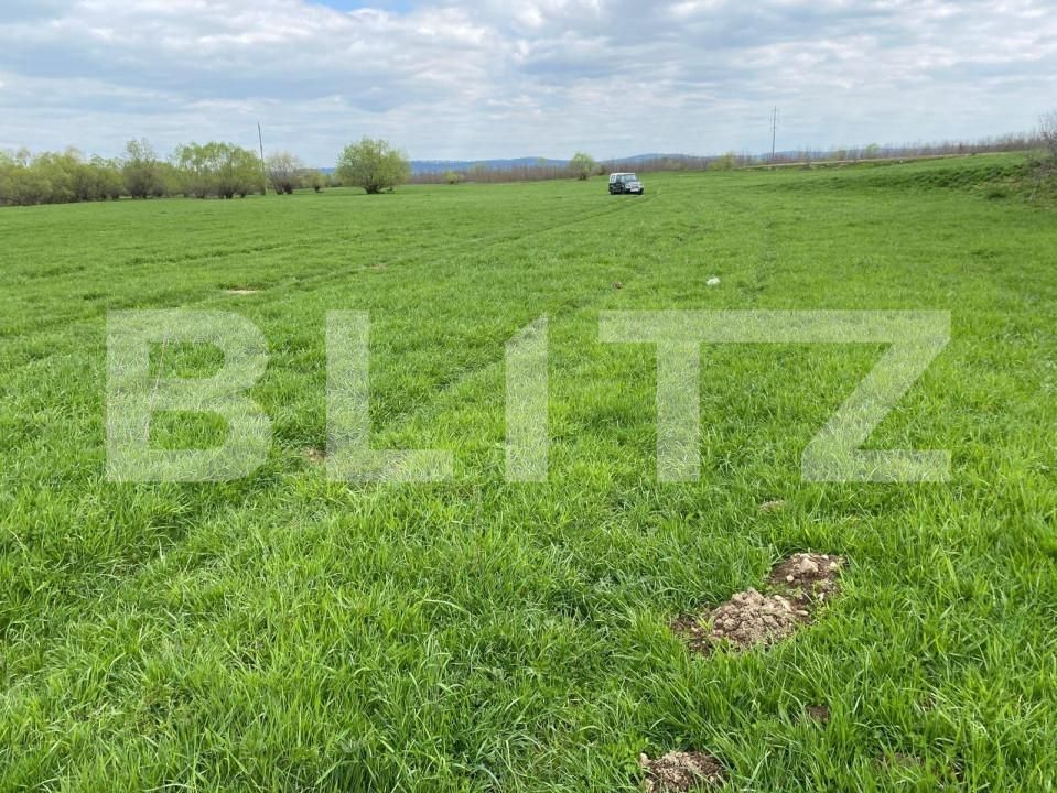 Teren de vânzare Exterior Est - 145911TV | BLITZ Sibiu | Poza5