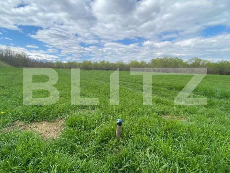 Teren de vânzare Exterior Est - 145911TV | BLITZ Sibiu | Poza4