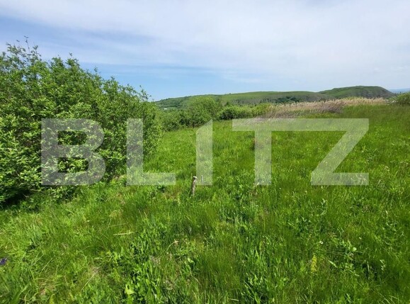 Teren de vânzare Exterior Vest - 145912TV | BLITZ Sibiu | Poza8