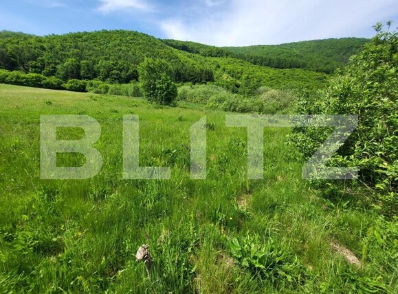 Teren de vânzare Exterior Vest - 145912TV | BLITZ Sibiu | Poza11