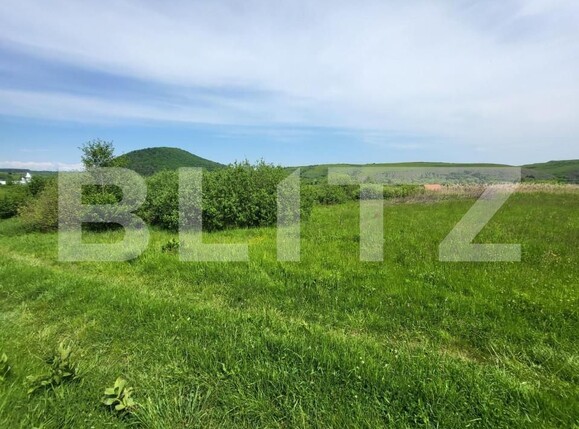 Teren de vânzare Exterior Vest - 145912TV | BLITZ Sibiu | Poza10