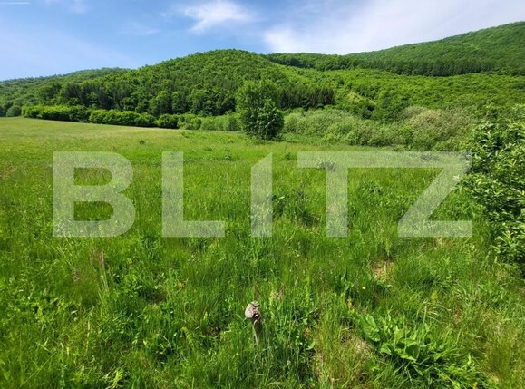 Teren de vânzare Exterior Vest - 145912TV | BLITZ Sibiu | Poza7