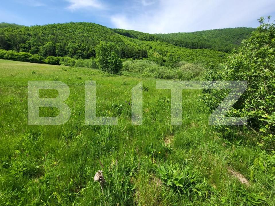 Teren de vânzare Exterior Vest - 145912TV | BLITZ Sibiu | Poza11