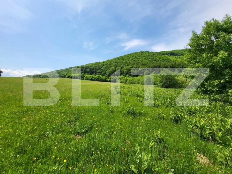 Teren de vânzare Exterior Vest - 145912TV | BLITZ Sibiu | Poza4