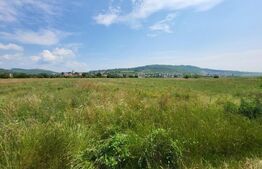 Teren intravilan, 1800mp, Gusterita