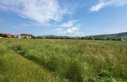 Teren intravilan, 1800mp, Gusterita