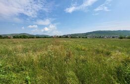 Teren intravilan, 1800mp, Gusterita