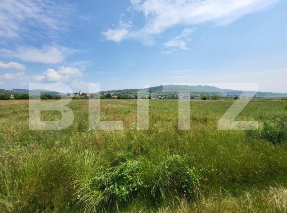 Teren de vânzare Gusterita - 145914TV | BLITZ Sibiu | Poza2