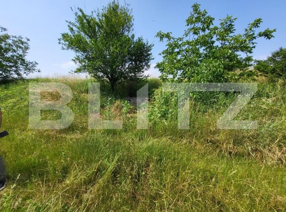 Teren de vânzare Gusterita - 145914TV | BLITZ Sibiu | Poza3