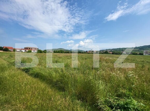 Teren de vânzare Gusterita - 145914TV | BLITZ Sibiu | Poza1