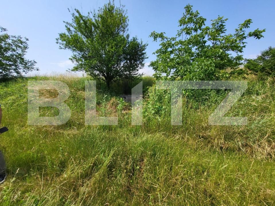 Teren de vânzare Gusterita - 145914TV | BLITZ Sibiu | Poza4