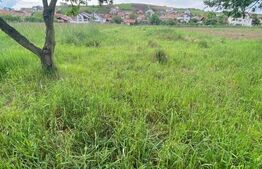 Teren intravilan, 1250 mp, Sura Mare