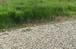 Teren intravilan, 1250 mp, Sura Mare