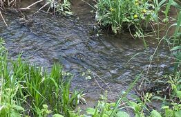 Teren intravilan, 1250 mp, Sura Mare