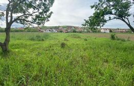 Teren intravilan, 1250 mp, Sura Mare